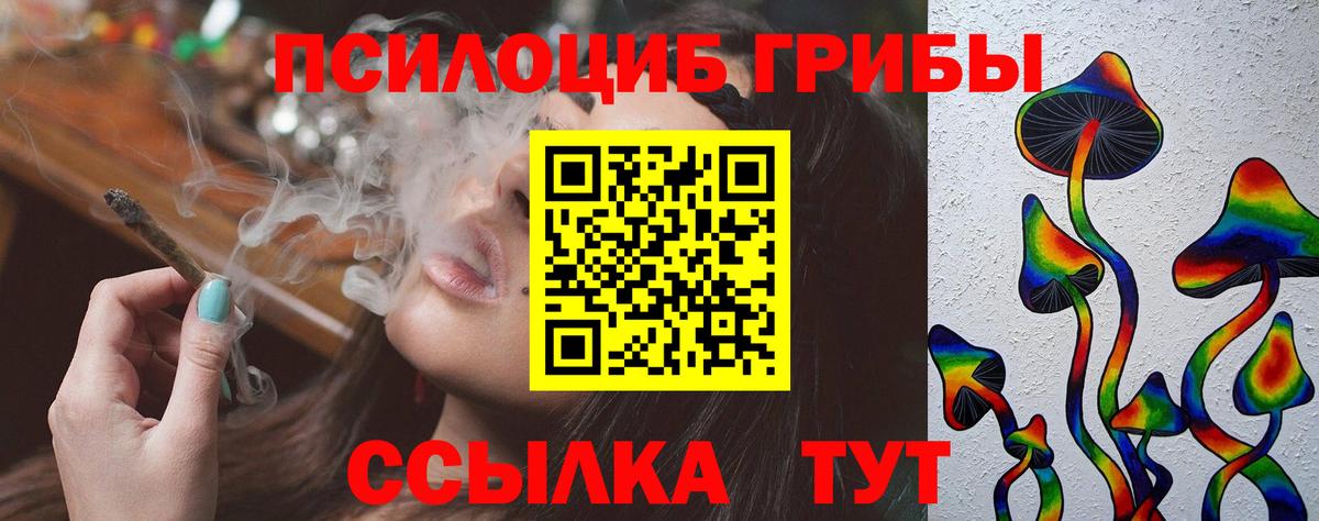 Батайск  Галлюциногенные грибы Psilocybine cubensis  Вход с VPN 